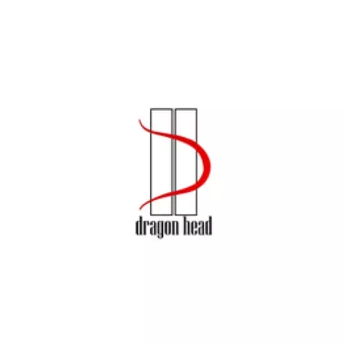 Dragon head logo